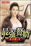 最强赘婿龙王殿陆风