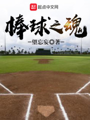 棒球之魂2013